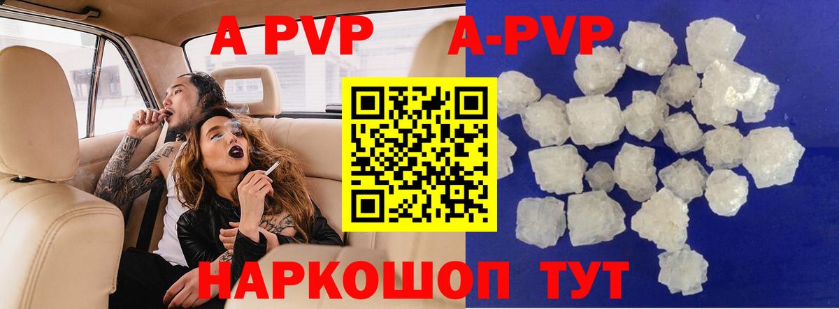A PVP СК КРИС Гагарин