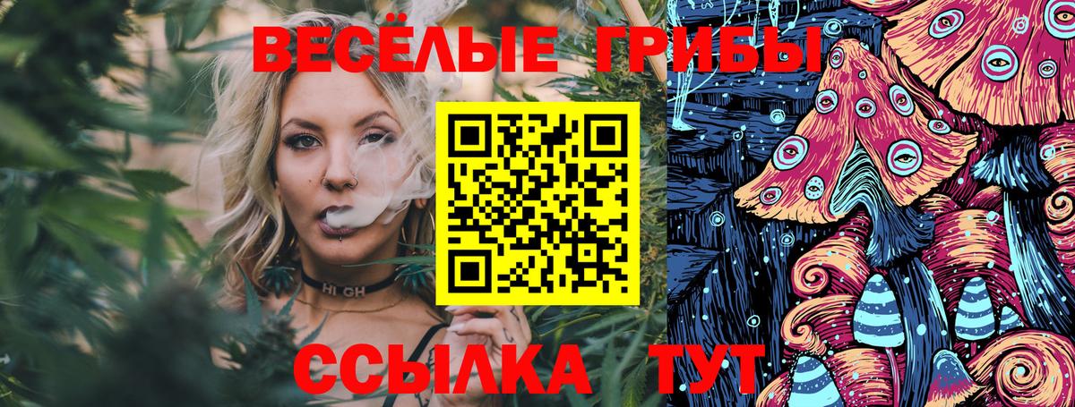 Галлюциногенные грибы GOLDEN TEACHER  Вход с VPN  Гагарин 